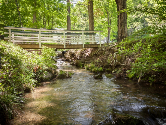 Capon Springs & Farms