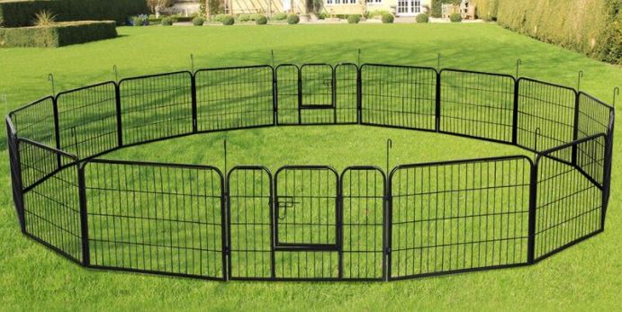 Dog fence