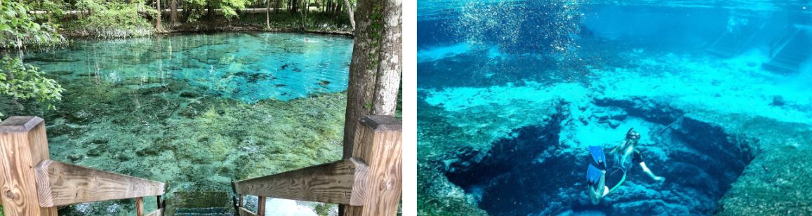 ginnie springs