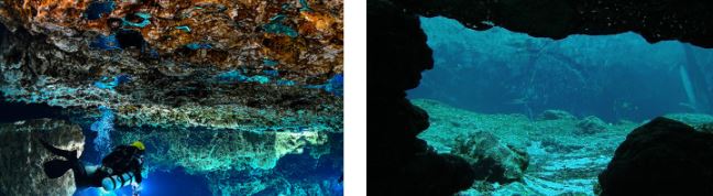 ginnie springs caves