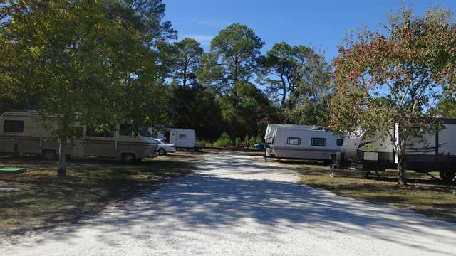 Parked buses on the Southport Campground