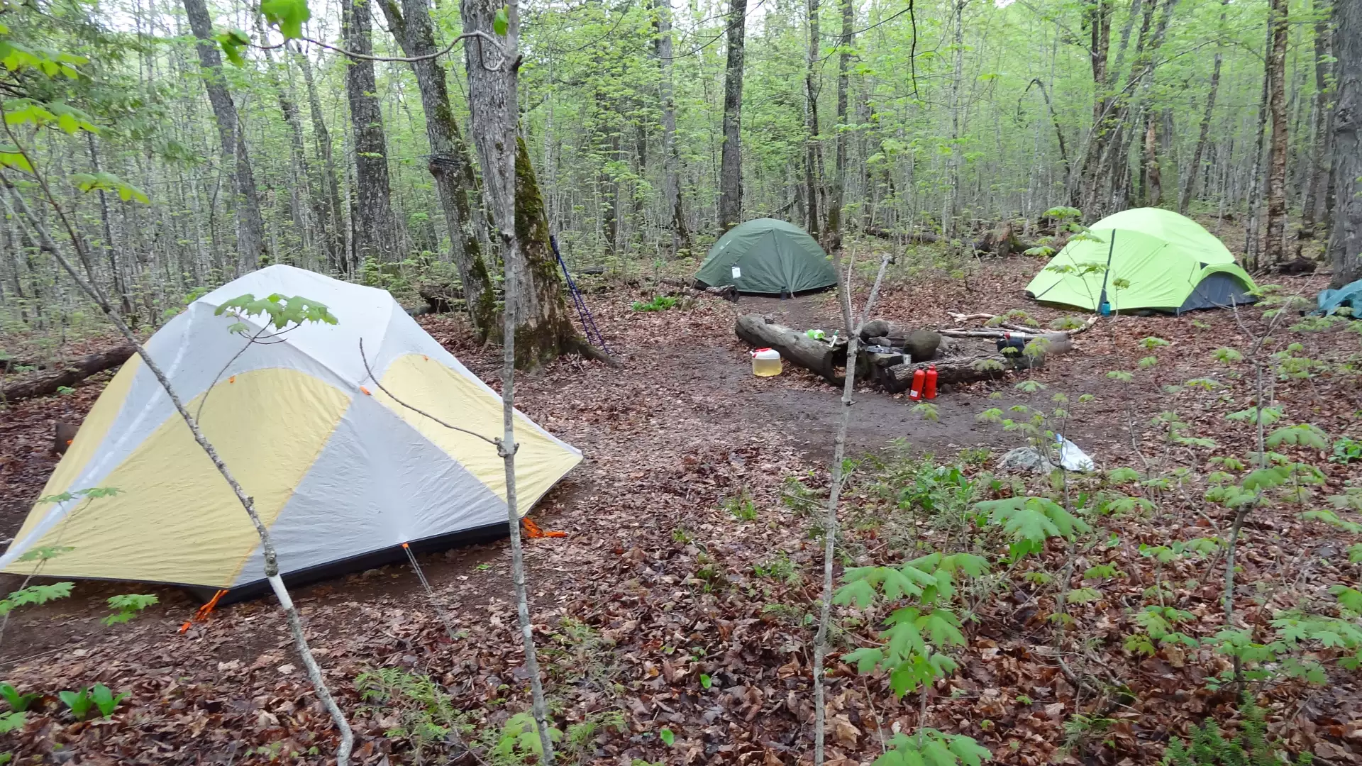 Isle Royale Campgrounds