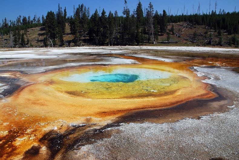 hot springs in Yellowstone