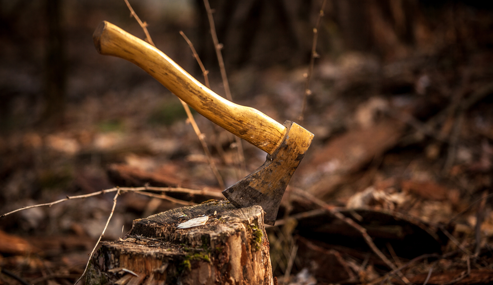 axe in a tree stump