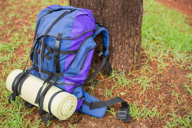 blue backpack leaning on a tree