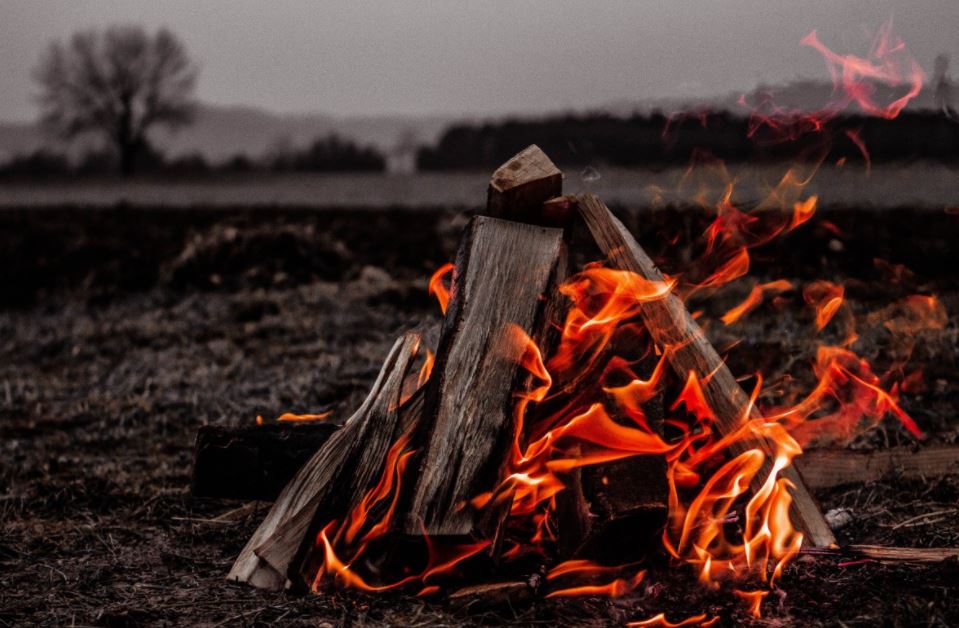 wood burning in a small bonfire