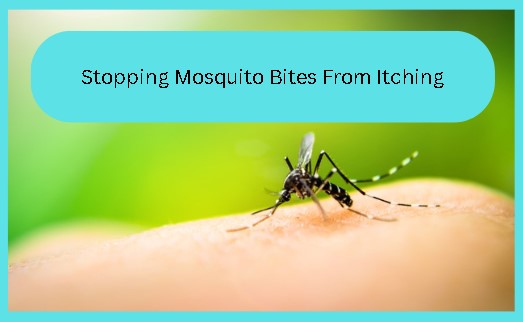 mosquito biting someone