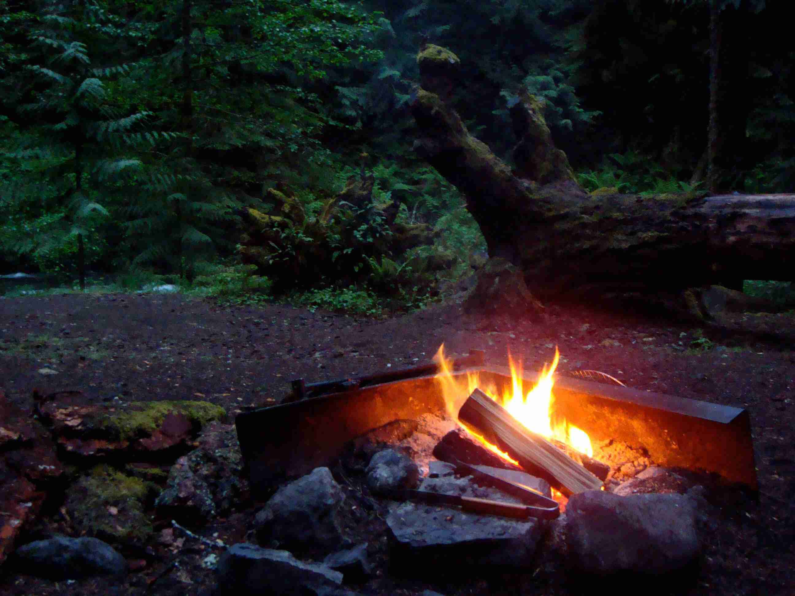 Campfire picture