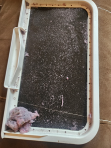 clothes drier filterv with lint