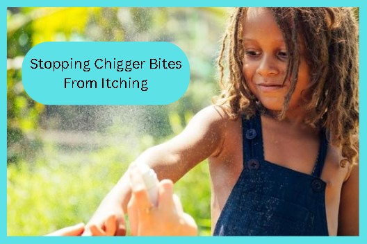 spraying chigger repellent on child with dreads