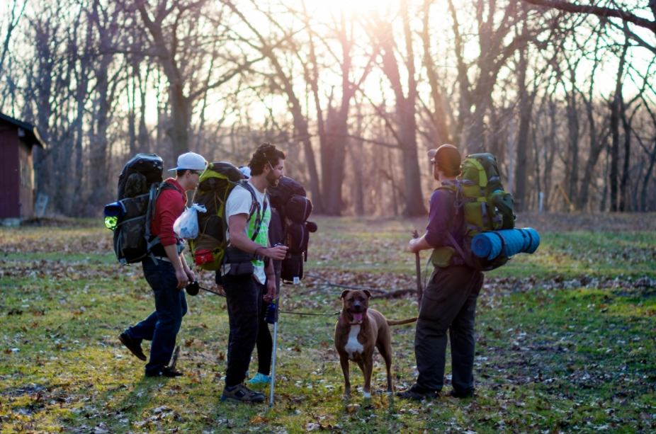 camping with dogs