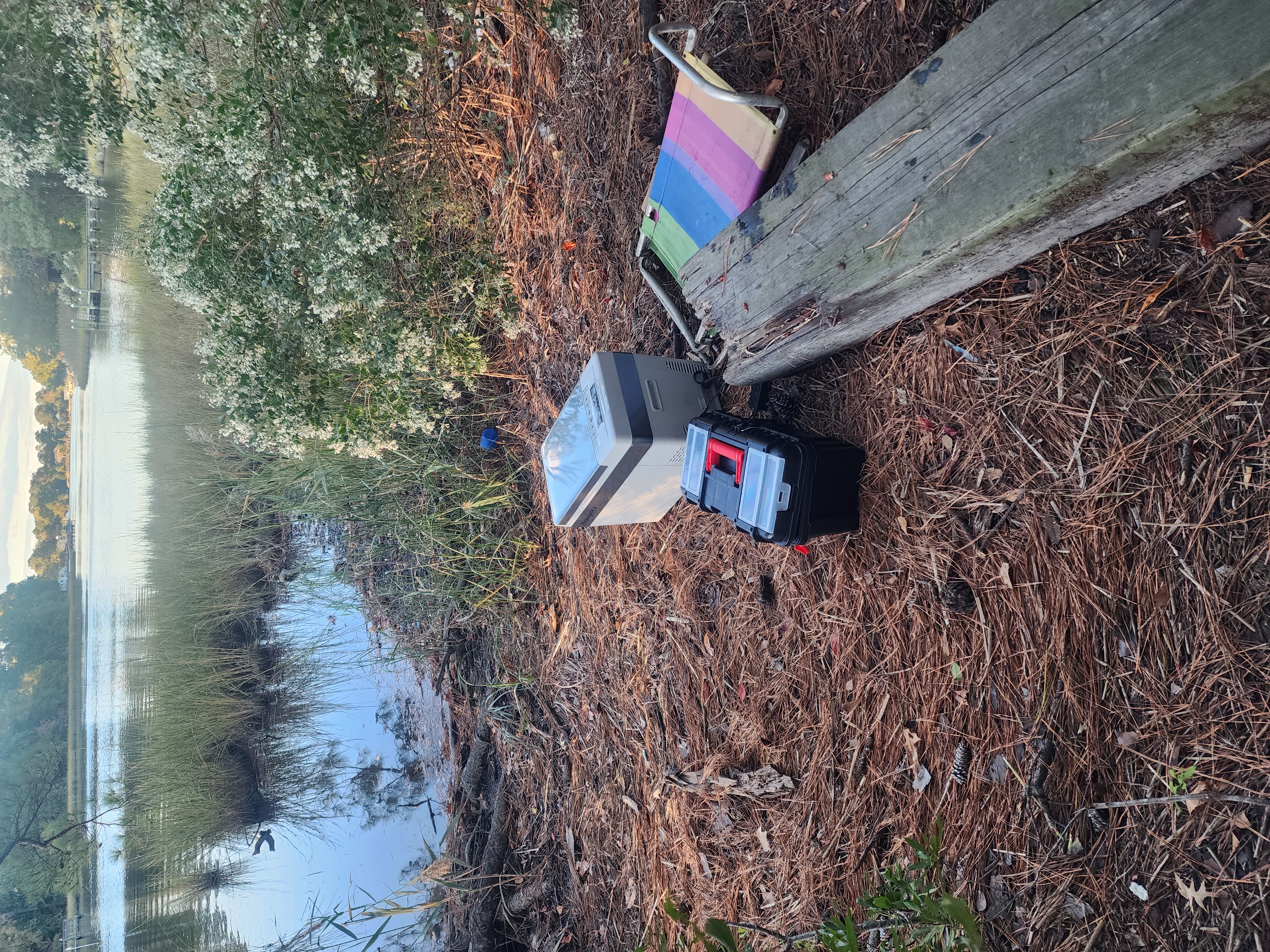 mini fridge in the woods