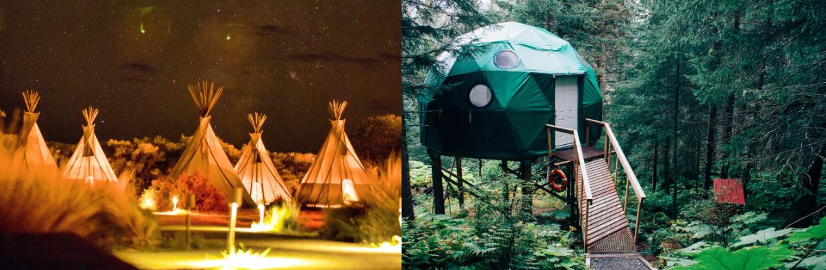 glamping tents with lights and a yurt