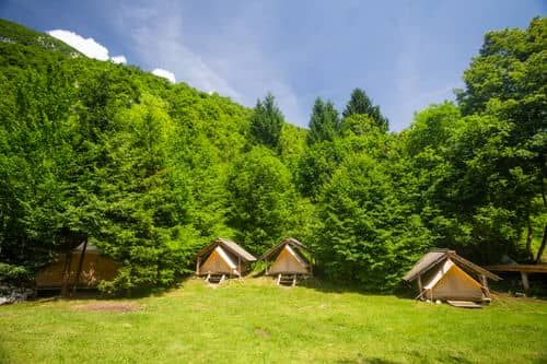 glamping spot in the forest