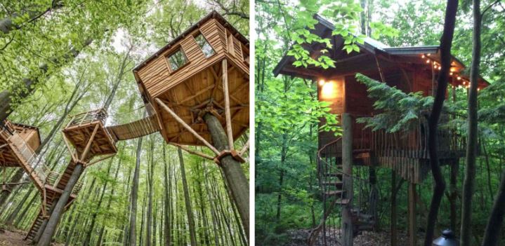 two separate treehouses that are used for glamping