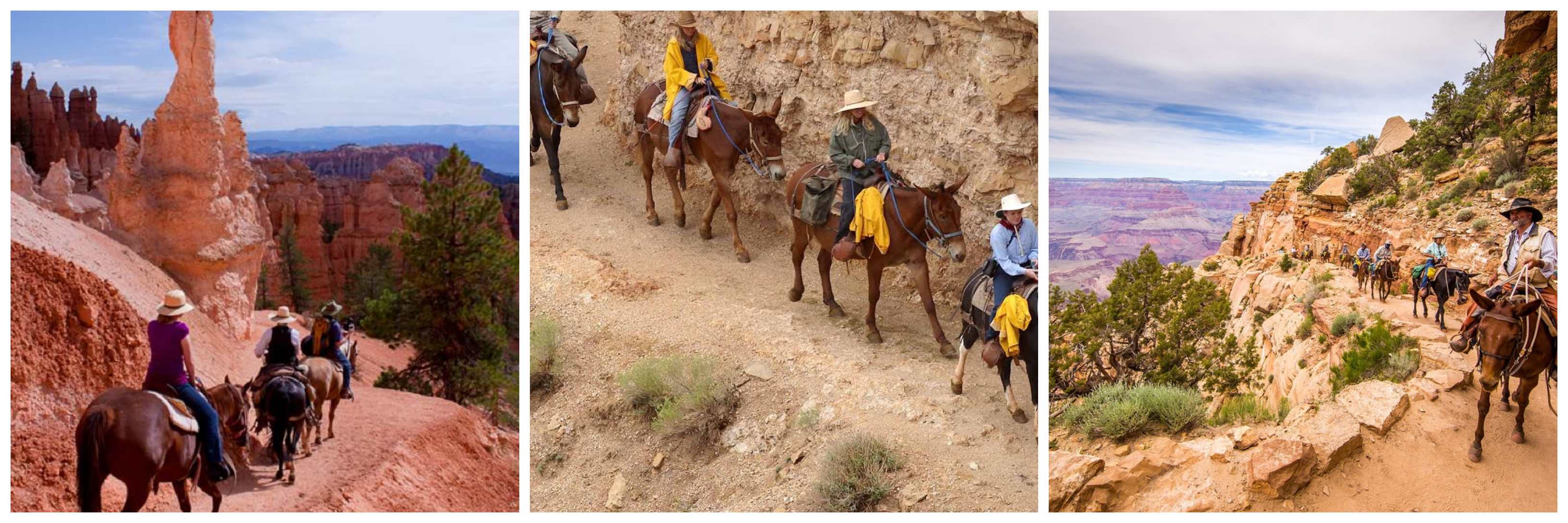 trail riding in the grand canyon