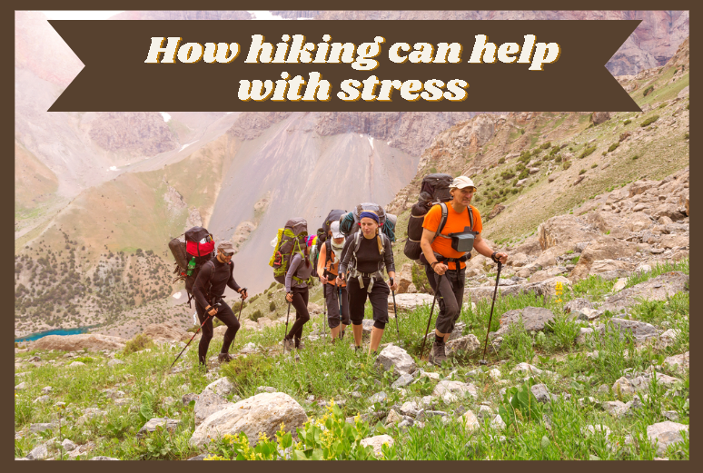 a group of people hiking up a mountain