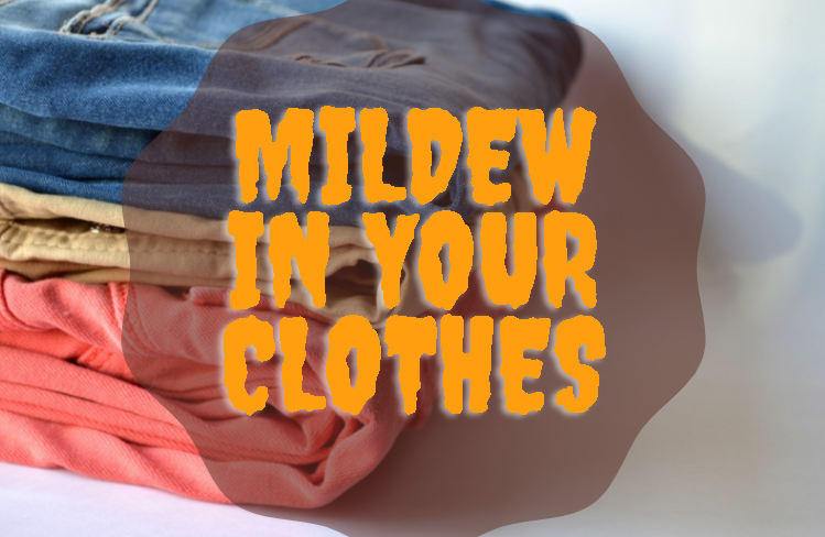 mildew in clothes