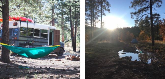 Forest Road 535 BLM Camping