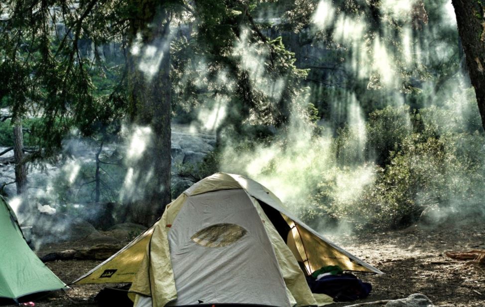 yellow and green tent