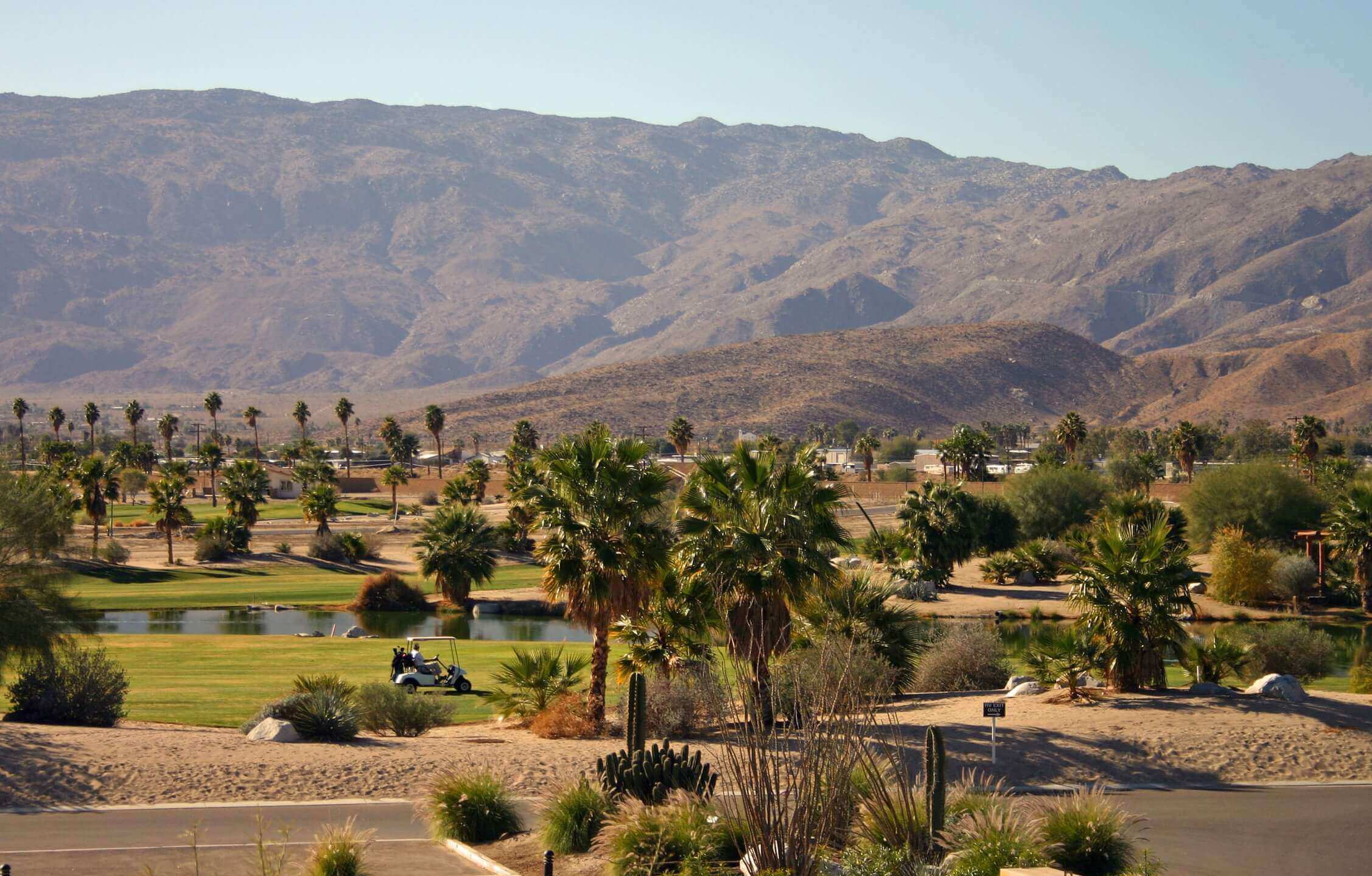 The springs at borrego