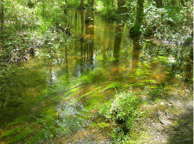 Healing Springs in North Carolina