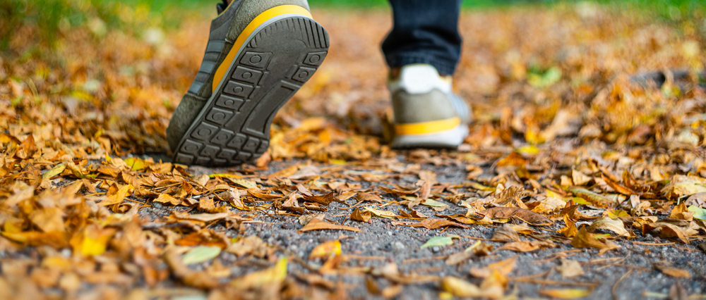 grey walking shoes